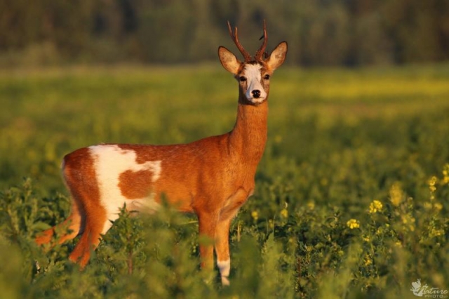 Asociatyvi nuotr. Asociatyvi nuotr.