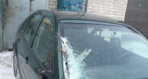 Rajone – žvėrių sukeltų avarijų bumas. Vienoje jų briedis apgadino rajono ūkininkų lyderio Vytauto Šliko automobilį. V.Šliko archyvo nuotr.