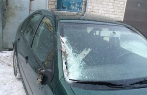 Rajone – žvėrių sukeltų avarijų bumas. Vienoje jų briedis apgadino rajono ūkininkų lyderio Vytauto Šliko automobilį. V.Šliko archyvo nuotr.