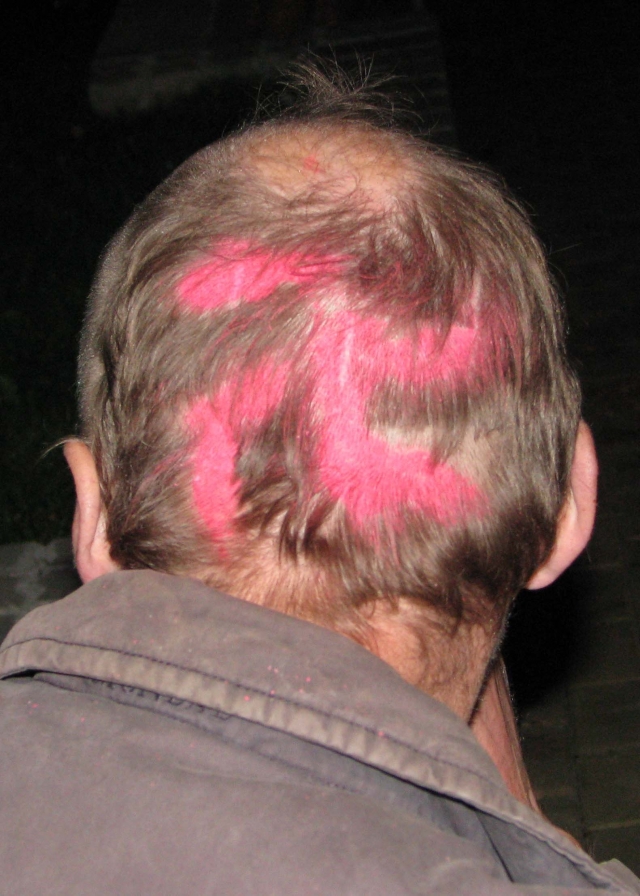 Neįprasta šukuosena. N.Byčkovskio nuotr.