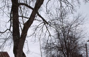 Gyventojams patariama patikrinti geriamojo vandens kokybę.