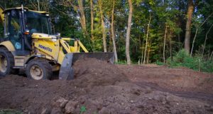 Apžėlusio krūmais