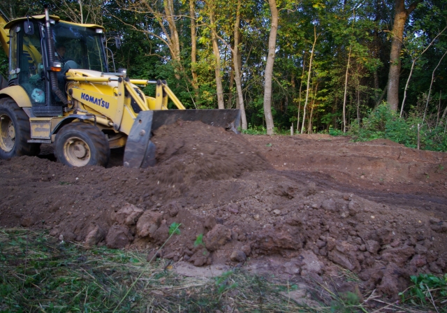 Apžėlusio krūmais Apžėlusio krūmais