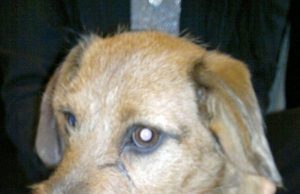 AB Rokiškio šilumos tinklų rajono archyvo nuotr.