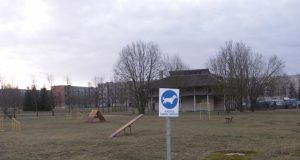 Koją baugu dėti ne tik gyvūnų vedžiojimo aikštelėse... N.Byčkovskio nuotr.