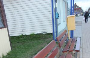 Apgadino suoliuką D. Zibolienės nuotr.