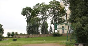 Jau kitąmet krepšinio aikštelę ir pievutę gali pakeisti aikštė.