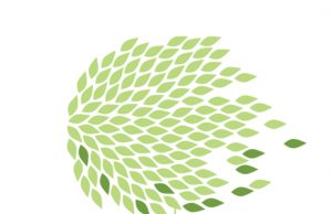 Ženklinimo etiketės gali klaidinti vartotojus