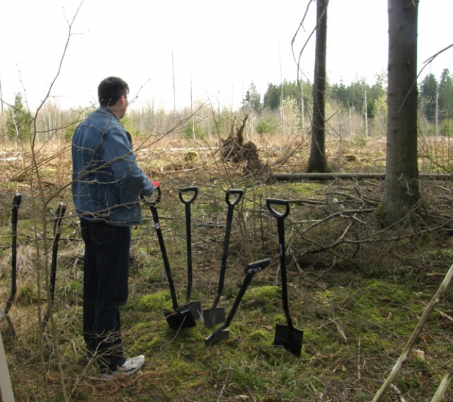 Medynai po kelių dešimtmečių suoš ne tik kirtavietėse Medynai po kelių dešimtmečių suoš ne tik kirtavietėse