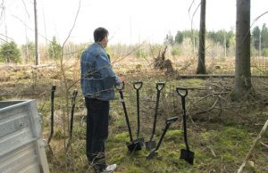 Organizuojama tradicinė pavasarinė miško sodinimo talka.