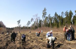 Talkininkai pasijuto lyg kurorte Talkininkus lepino gamta: čiulbėjo paukščiai