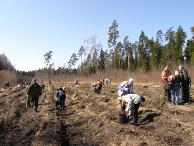 Talkininkus lepino gamta: čiulbėjo paukščiai