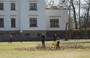 Krašto muziejaus darbuotojai jau sutvarkė didįjį rožyną ir tikisi