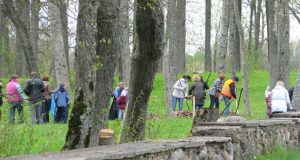 Dvaro parko talka tęsiasi. N.Byčkovskio nuotr.