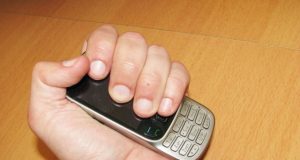 N.Byčkovskio nuotr.