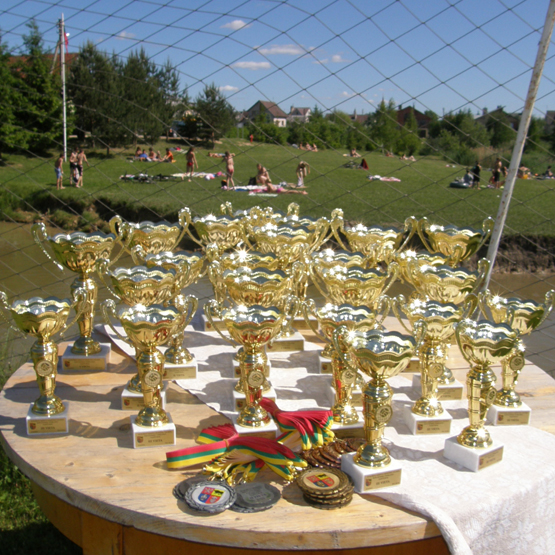 Prizininkams išdalintos 24 seniūno taurės ir tiek pat medalių. Prizininkams išdalintos 24 seniūno taurės ir tiek pat medalių.