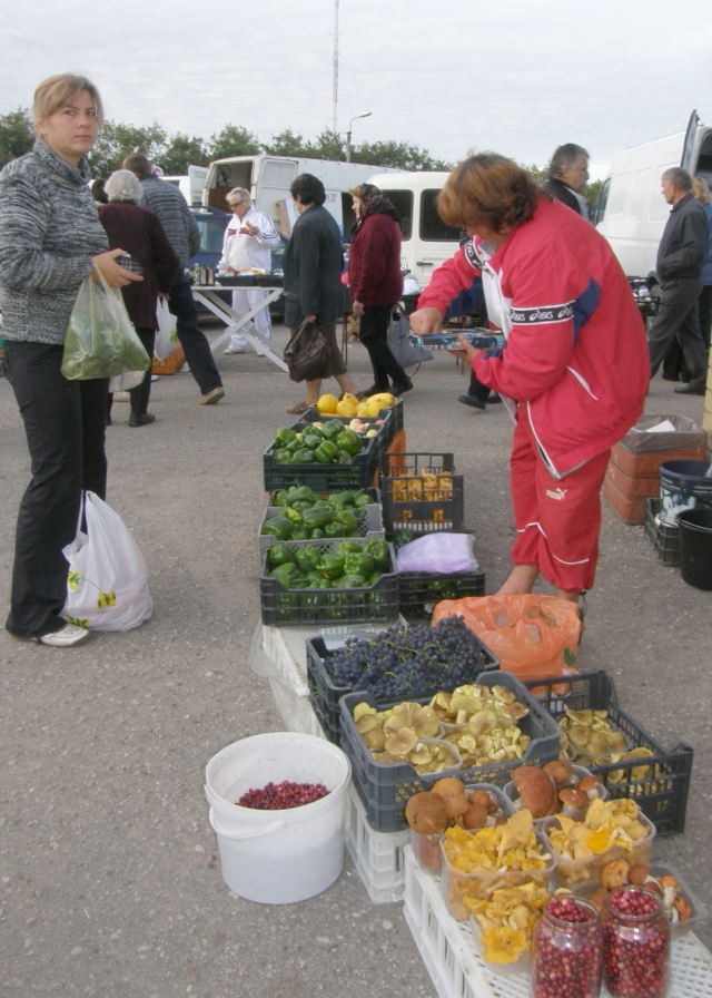 Narkūnų kaimo (Jūžintų sen.) gyventoja Valentina Aižbel