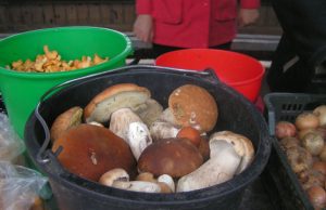 Baravykai Vis daugiau rokiškėnų džiaugiasi gausiu baravykų derliumi. N.Byčkovskio nuotr.