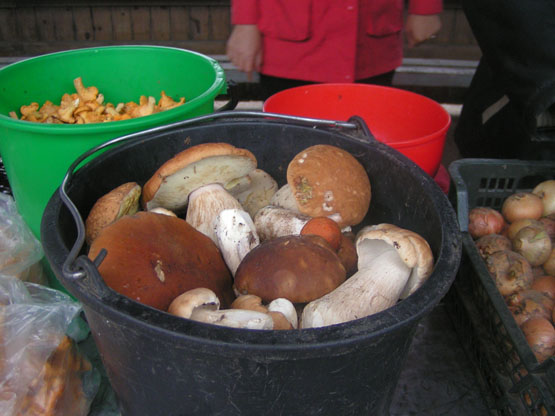 Vis daugiau rokiškėnų džiaugiasi gausiu baravykų derliumi. N.Byčkovskio nuotr.