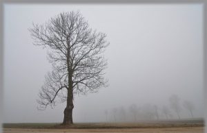 Gamtoje - drėgna ir šalta ne tik žmogui. Virginijaus Stumbrio nuotr.