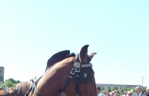 Arimo varžytuvėse vertintas ne tik vagų tiesumas