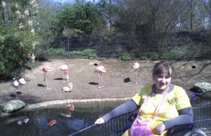 Lankydamasi Vokietijoje pas seseris J.Vaitkevičiūtė visada prašo ją nuvežti į zoologijos sodą. J.Vaitkevičiūtės asmeninio archyvo nuotr.