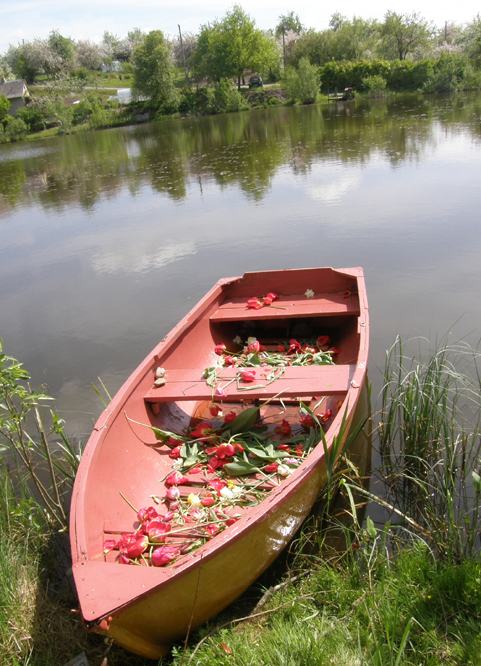 Niekdarių nudraskytomis tulpėmis nusėta ne tik sodų teritorija