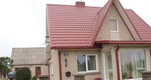 Neteisėta vandentiekio atšaka veda prie šio namo. L.Dūdaitės nuotr.