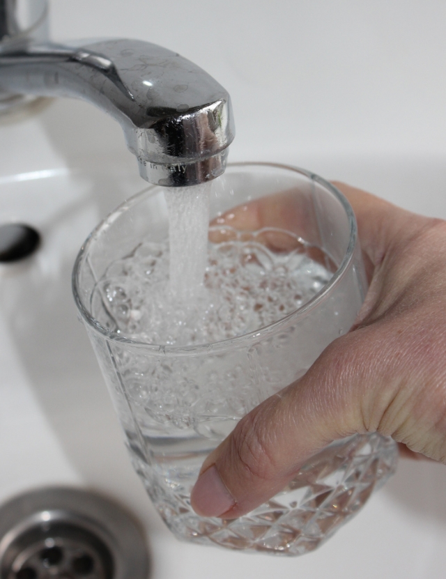 Dėl vandens naudos organizmui - prieštaringos nuomonės