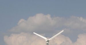 Šiandien ūkininkės Vilijos baltasparnė galbūt pradės gaminti elektrą. A.Minkevičienės nuotr.