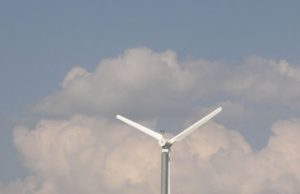 Šiandien ūkininkės Vilijos baltasparnė galbūt pradės gaminti elektrą. A.Minkevičienės nuotr.