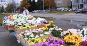 Krizė išmokė rokiškėnus neišlaidauti kapų puošybai: dirbtinės gėlė tampa paklausios.  A.Puteikytės nuotr.