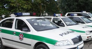 N. Byčkovskio nuotr.