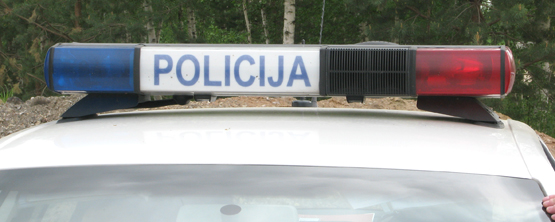 Pareigūnai sulaikė apsivogusį estą.