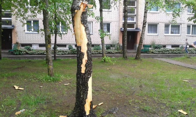 Žaibas 