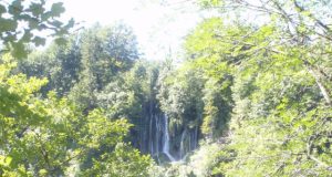 Miškininkas Mantas Zamaliauskas