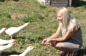 Lietuviškos žąsys Birutė Kairienė ir lietuviškos žąsys. N. Byčkovskio nuotr.