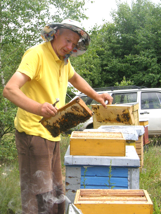 E.Ardavičius: „Bitės – ne žmonės. Tinginyste ar simuliacija jų neapkaltinsi.“ A.Minkevičienės nuotr. E.Ardavičius: „Bitės – ne žmonės. Tinginyste ar simuliacija jų neapkaltinsi.“ A.Minkevičienės nuotr.