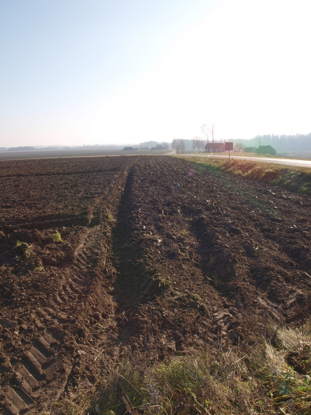 Žemės mokestis kasmet didėja. D. Zibolienės nuotr.