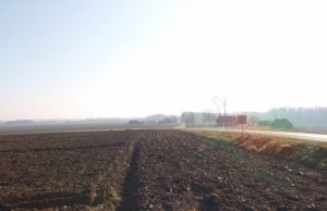 Žemės kaina ėmė ristis žemyn. A. Minkevičienės nuotr.
