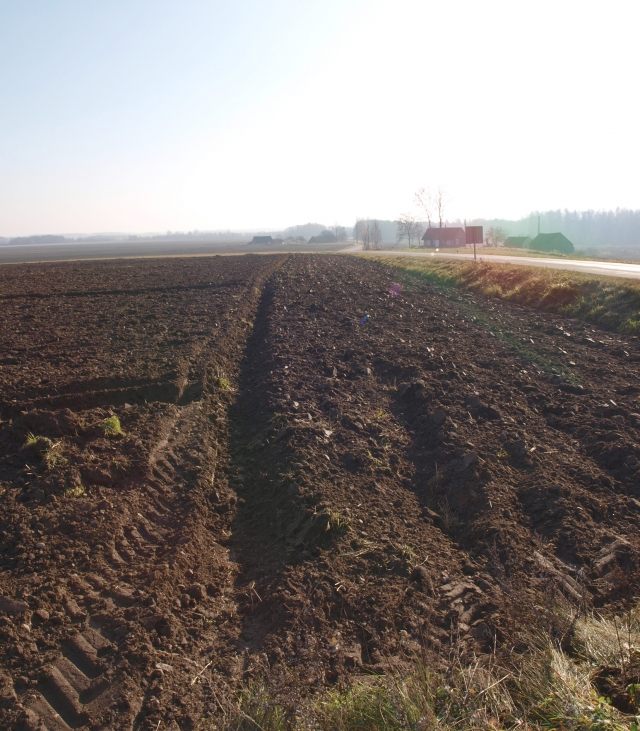 Žemės kaina ėmė ristis žemyn. A. Minkevičienės nuotr.