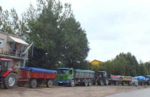 Prie AB „Rokiškio grūdai" nuo ankstyvo ryto iki vėlaus vakaro driekiasi sunkvežimių eilės. A.Minkevičienės nuotr.