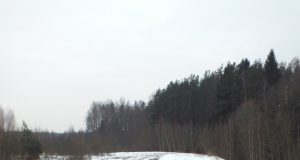 Parama