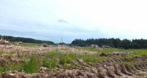 Ūkininkui išnuomotoje pievoje – krūvos medienos atliekų ir gilūs miško technikos  pėdsakai.