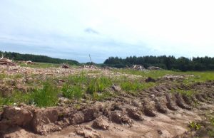 Ūkininkui išnuomotoje pievoje – krūvos medienos atliekų ir gilūs miško technikos  pėdsakai.