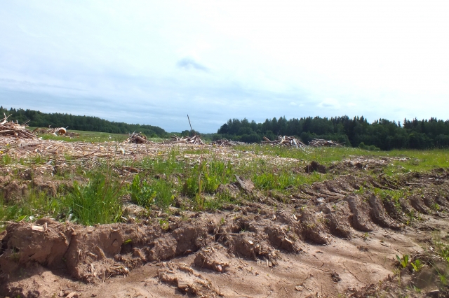 Ūkininkui išnuomotoje pievoje – krūvos medienos atliekų ir gilūs miško technikos  pėdsakai.