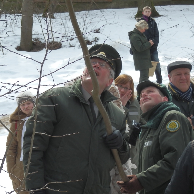 Tarp gausybės inkilų