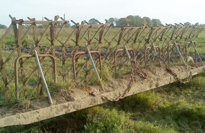 Kęstutis Žemaitis susikonstravo kultivatorių ir sutaupė didelę sumą pinigų