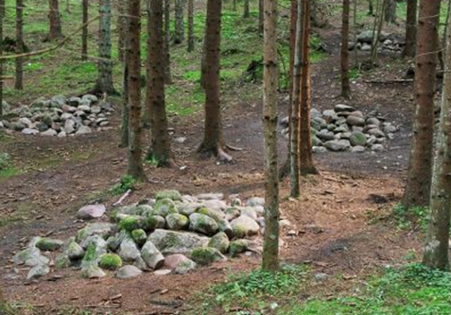 Atsidūrus šalia Puokainių miško akmenų atsiranda sunkiai numaldomas noras kalbėti... Atsidūrus šalia Puokainių miško akmenų atsiranda sunkiai numaldomas noras kalbėti...