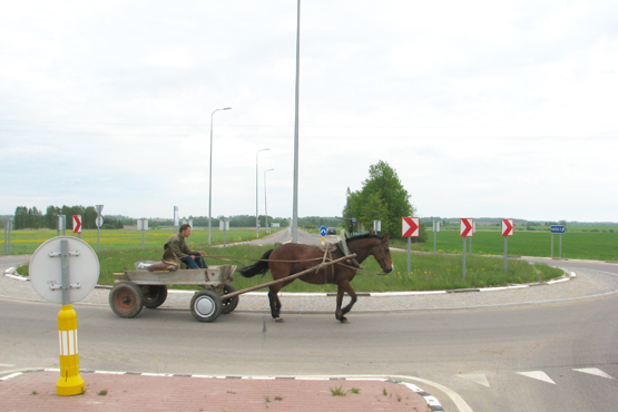 Pirmasis rajone kelio žiedas